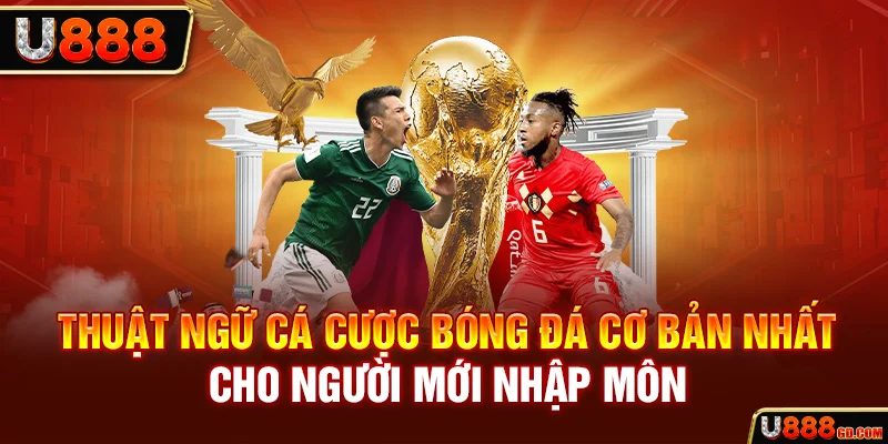 Thuật Ngữ Cá Cược Bóng Đá Mọi Tân Thủ Cần Nằm Lòng U888 Thuật ngữ cá cược bóng đá cơ bản nhất cho người mới nhập môn