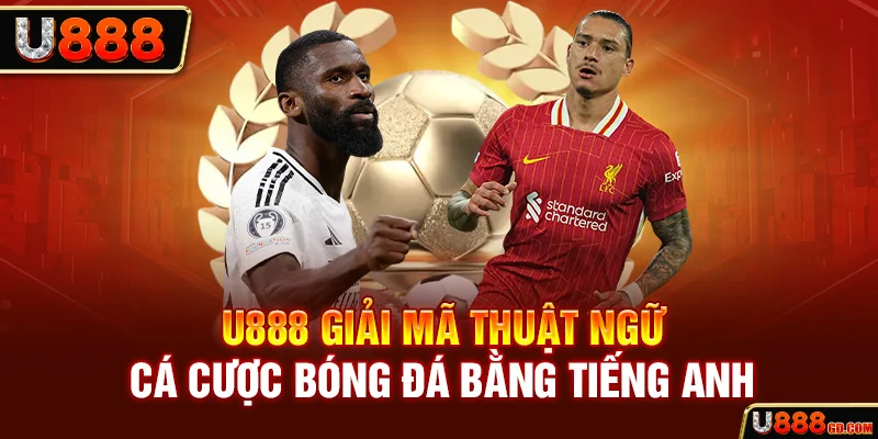 Thuật Ngữ Cá Cược Bóng Đá Mọi Tân Thủ Cần Nằm Lòng U888 U888 giải mã thuật ngữ cá cược bóng đá bằng tiếng Anh