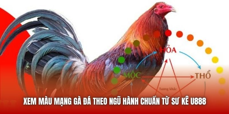 Xem Màu Mạng Gà Đá Theo Ngũ Hành Chuẩn Từ Sư Kê U888