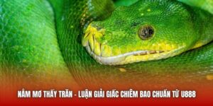 Nằm Mơ Thấy Trăn - Luận Giải Giấc Chiêm Bao Chuẩn Từ U888